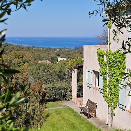 Domaine Punta Della Guardia Villa Vue Mer Dans Nature Protegee, Plage A 1,5 Km 세르비온 외부 사진